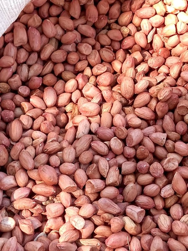 Ground nuts from Malawi