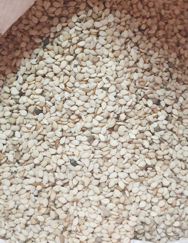 High quality sesame seeds from Malawi from Malawi