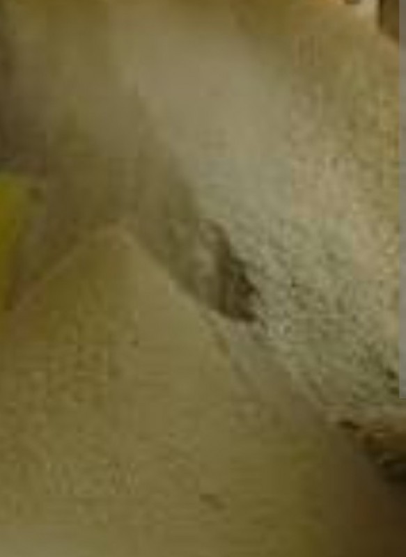 Rice bran from Malawi