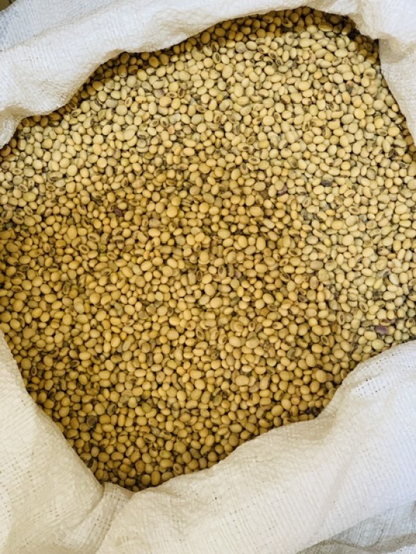 Soya beans from Malawi