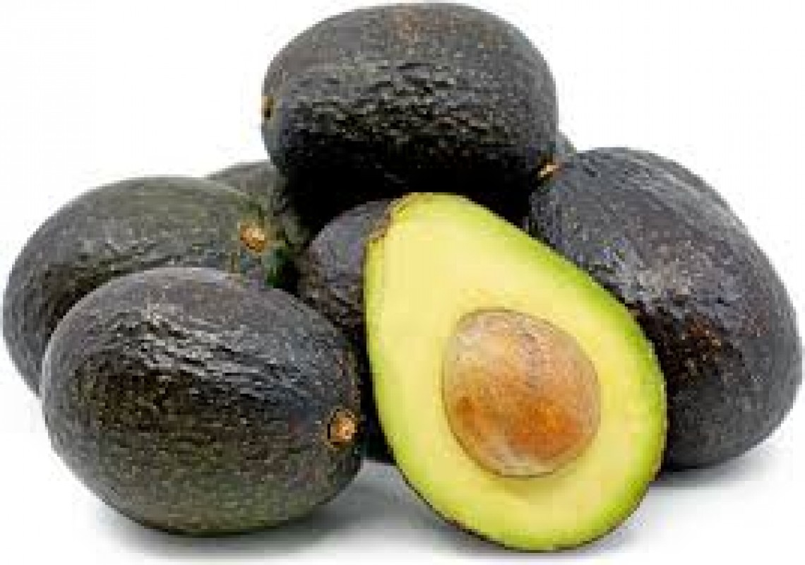 Avocats Hass from Mexique