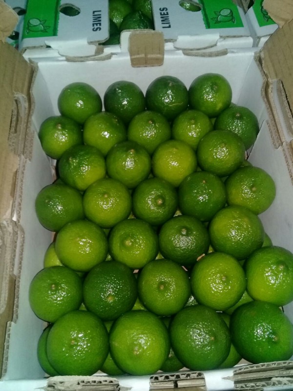Persian lime from Mexico
