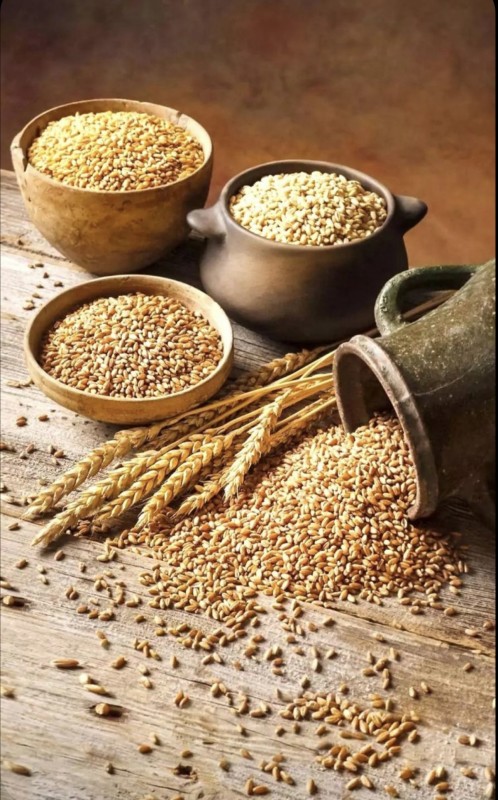 wheat flour from Malaysia