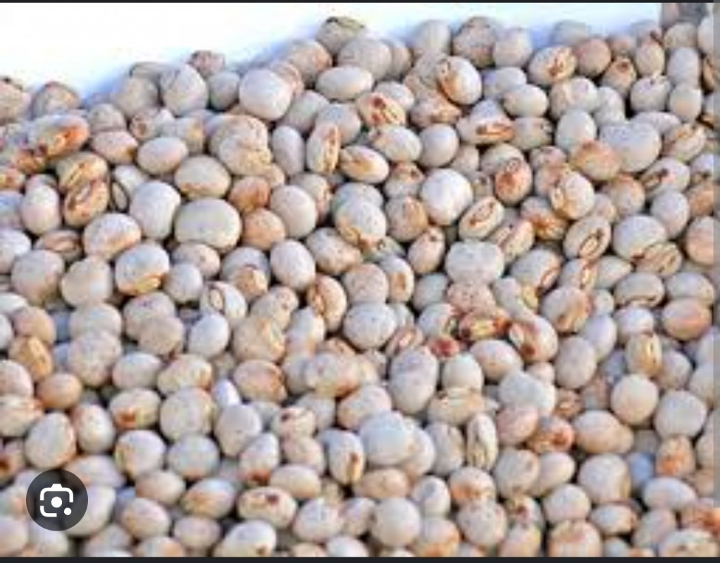 Piggion peas from Mozambique
