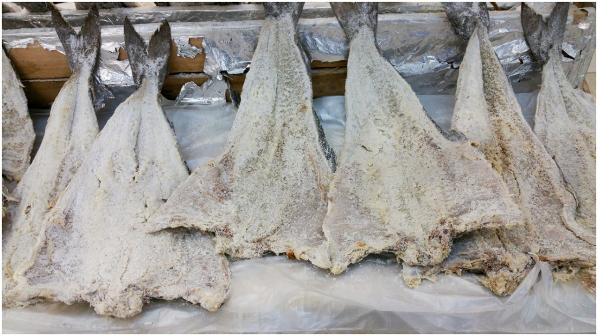 Dried Salted Fish from Namibia