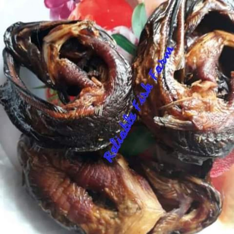Catfish from Nigeria