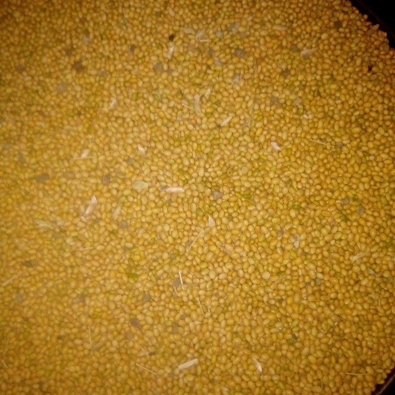 Yellow soybeans from Nigeria