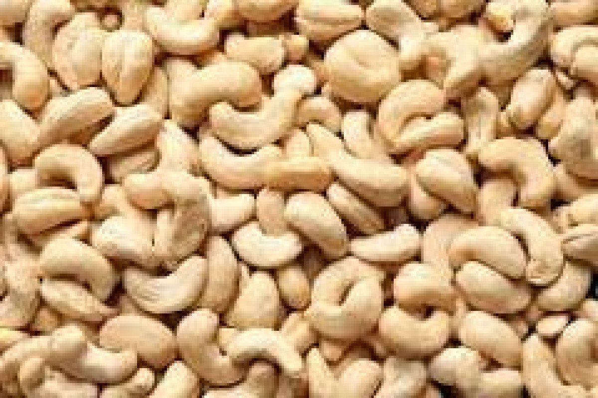 Cashew Nuts from Nigeria