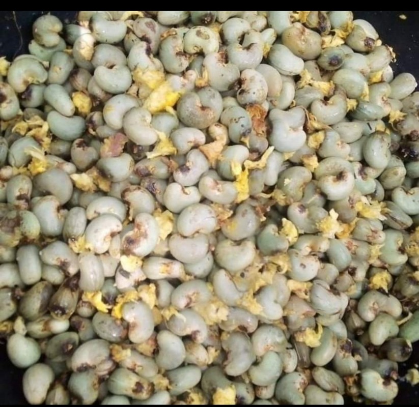 Ocean Mint raw cashew from Nigeria