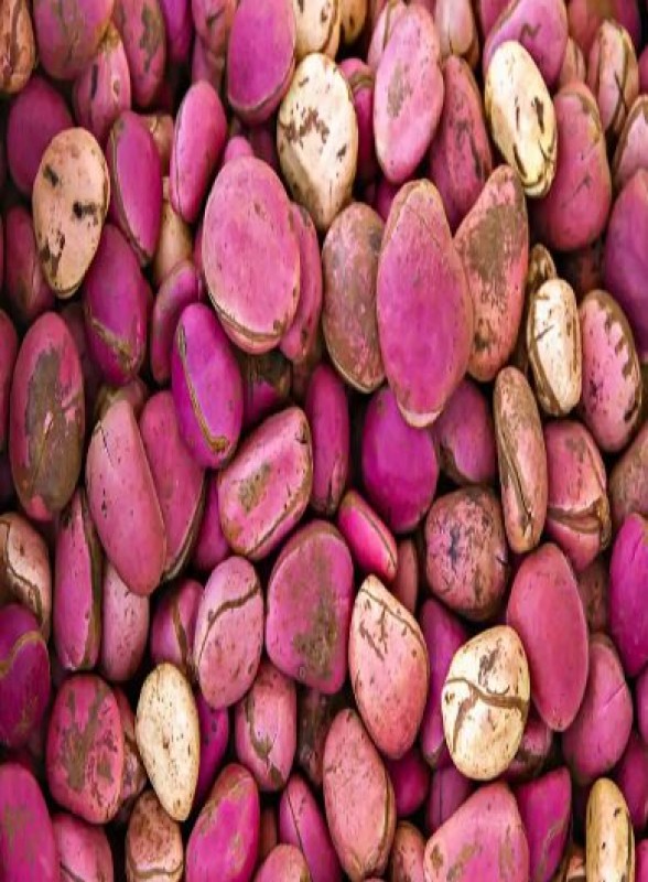 Kola Nuts from Nigeria