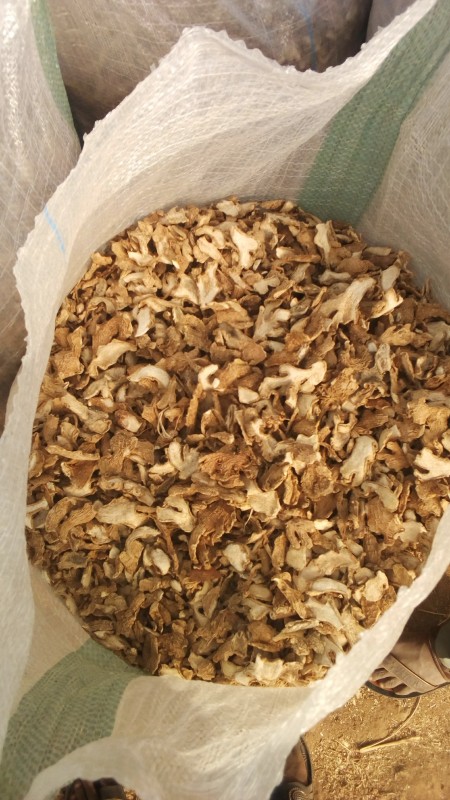 Ginger from Nigeria