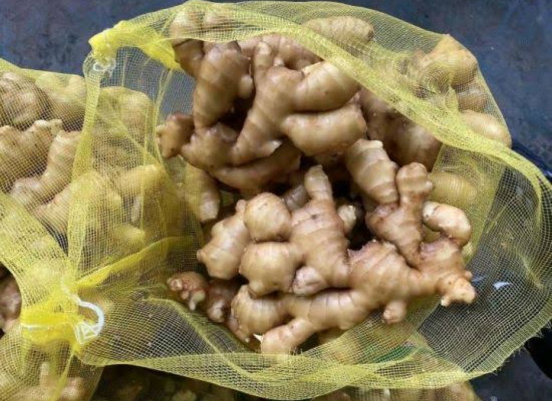 Fresh Ginger from Nigeria
