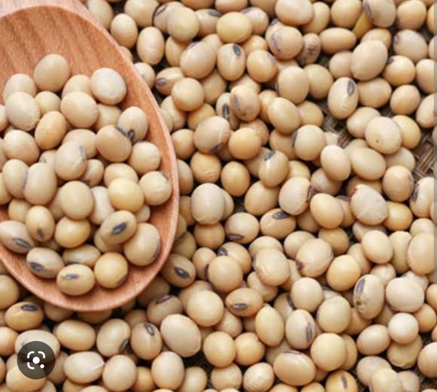 Soya beans from Nigeria