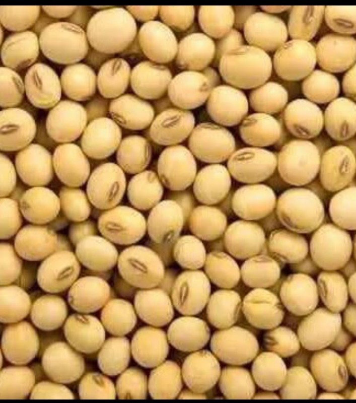 Soya Beans from Nigeria