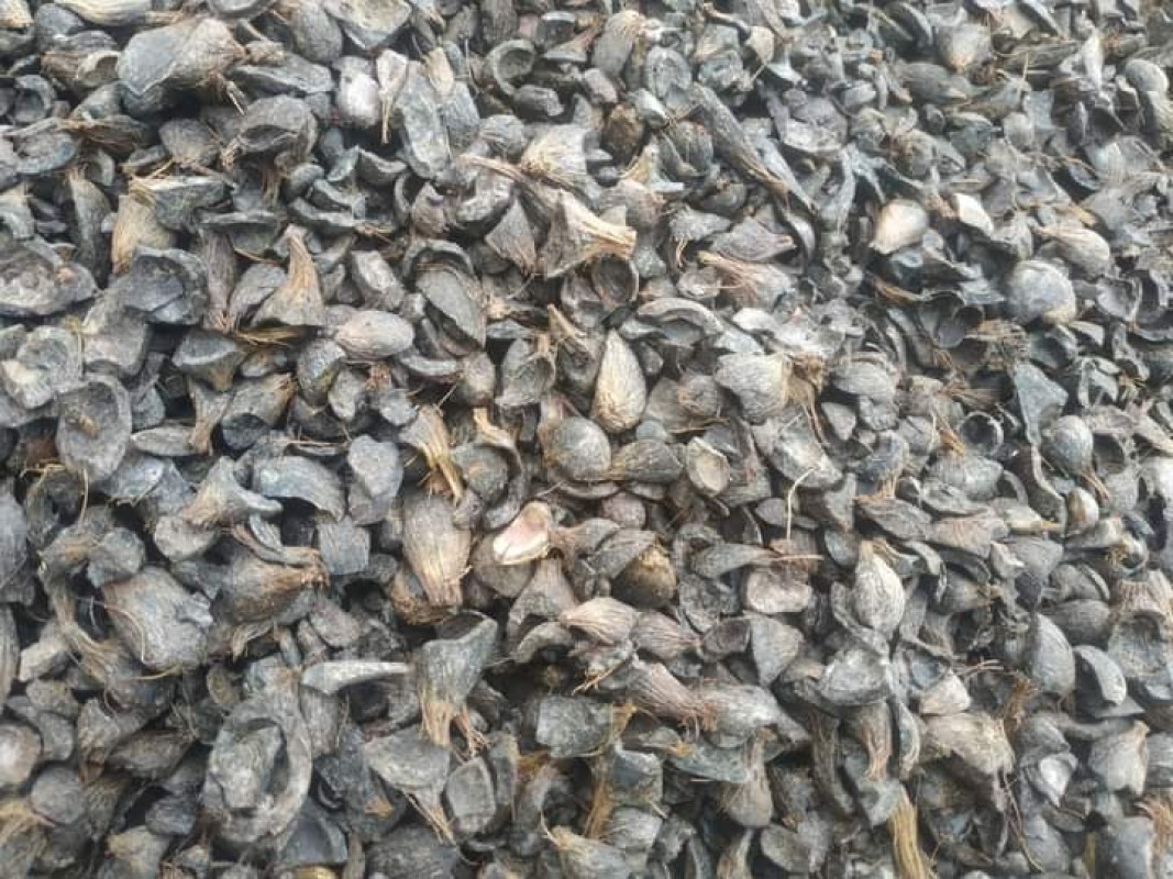 Palm kernel shell. from Nigeria