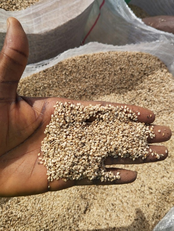 Sesame seeds from Nigeria