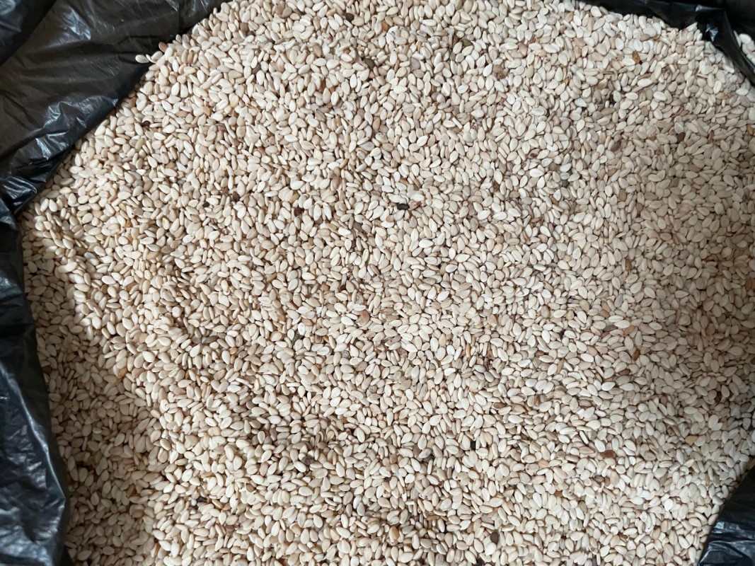Semillas de sésamo blancas from Nigeria