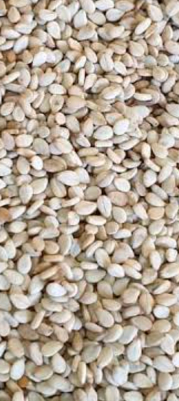 Sesame Seed from Nigeria