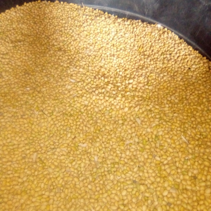 Yellow soybeans from Nigeria