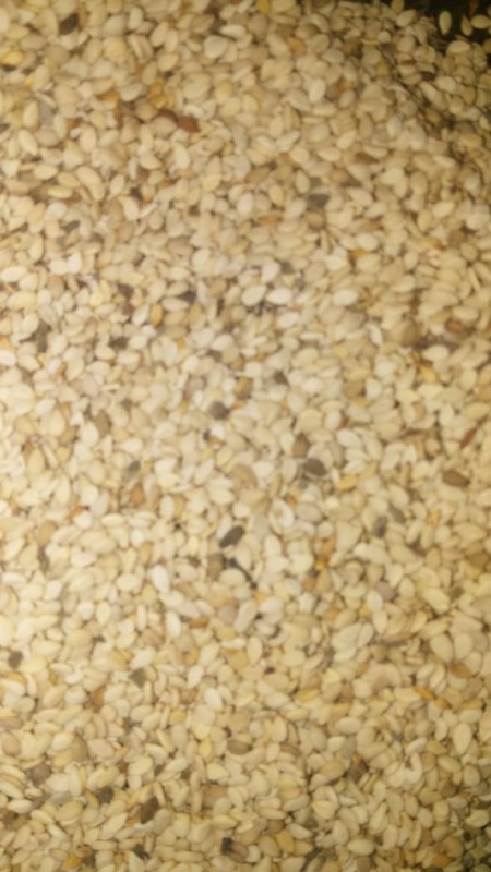 sesame seed from Nigeria