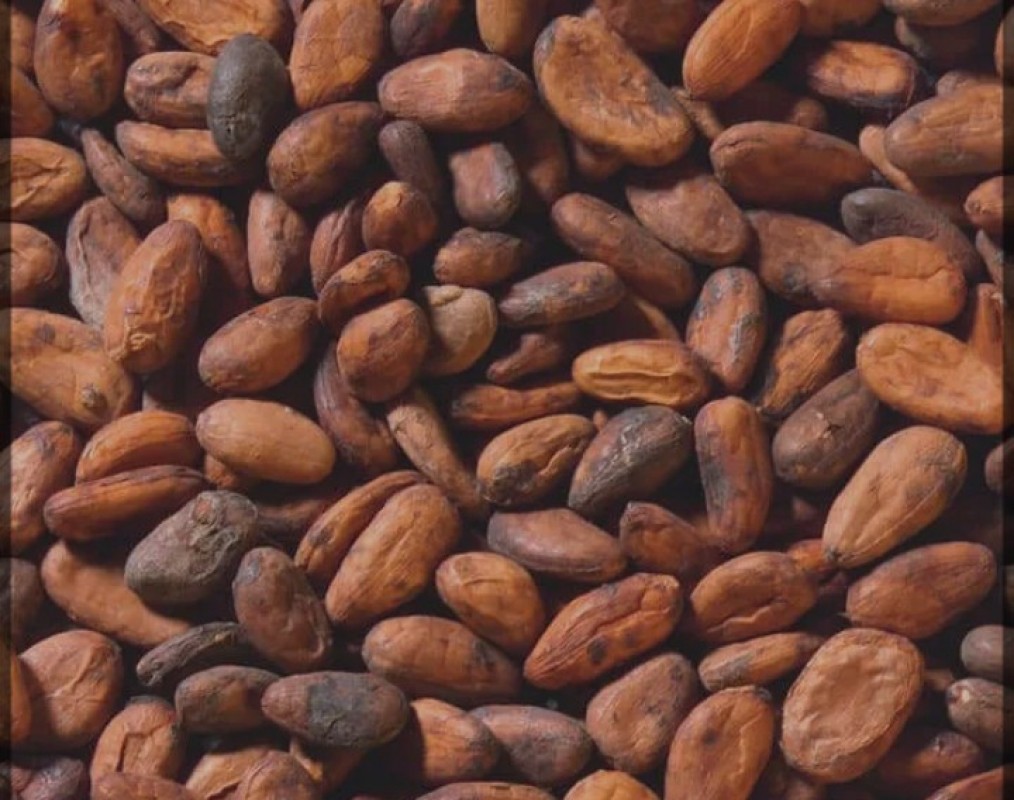 Coco Beans from Nigeria