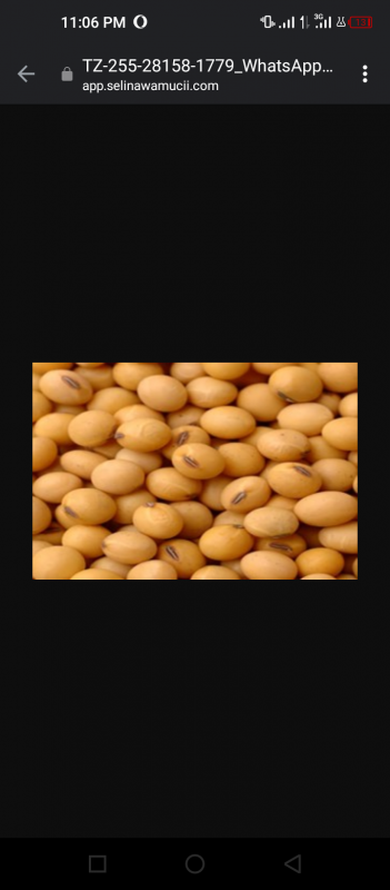 Soya beans and maize from Nigeria