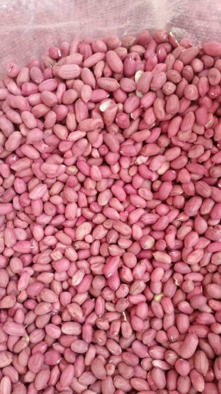 Peanuts (Groundnuts) from Nigeria