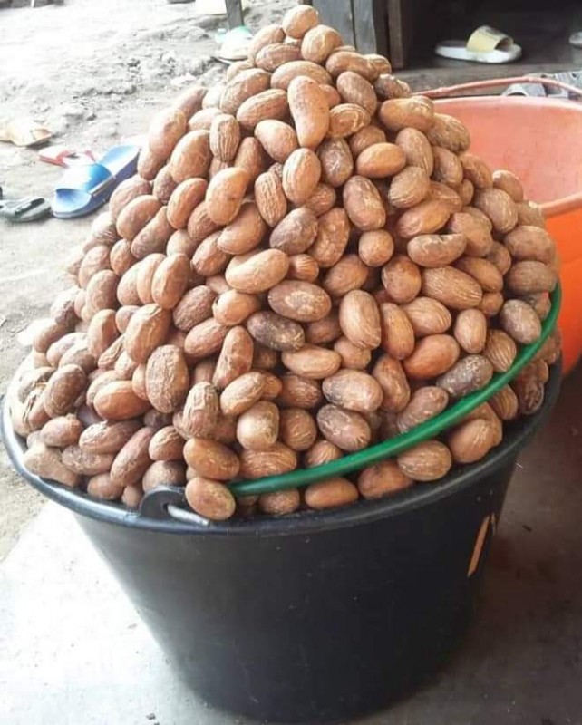 Bitter Kola from Nigeria
