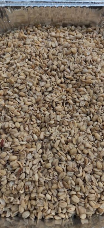Ukwa, African breadfruit. from Nigeria