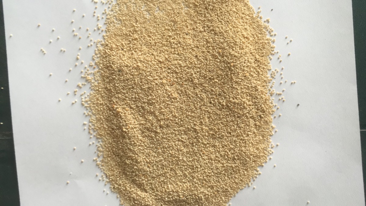 Poppy seed from Nepal