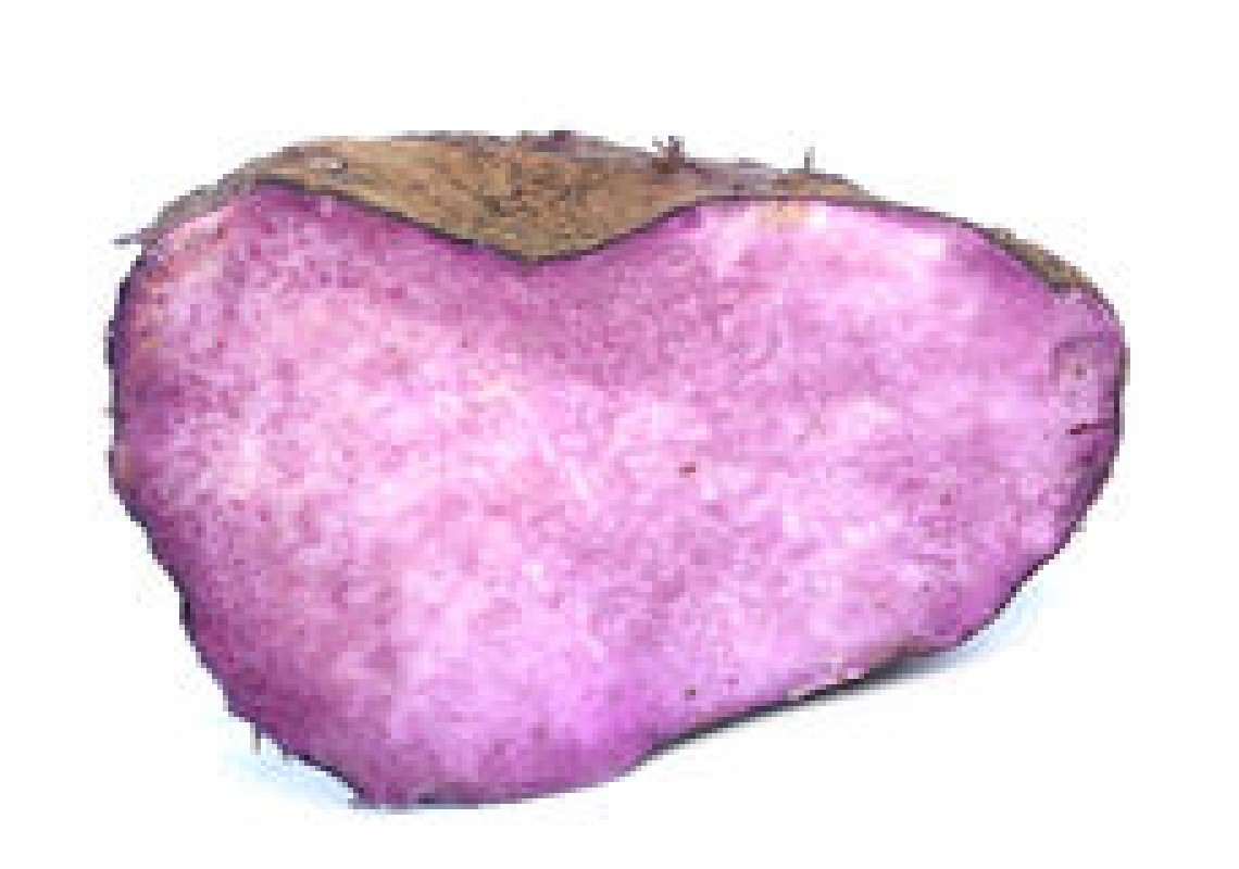 Jam from Papua-Nowa Gwinea