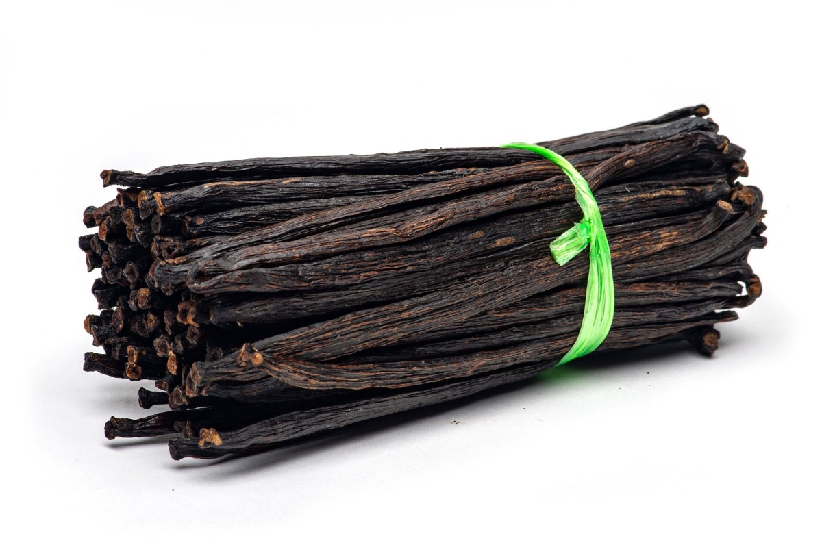 Vanilla tahitensis from Papua New Guinea