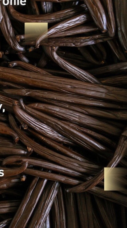 Dried and cured vanilla beans from Papua New Guinea