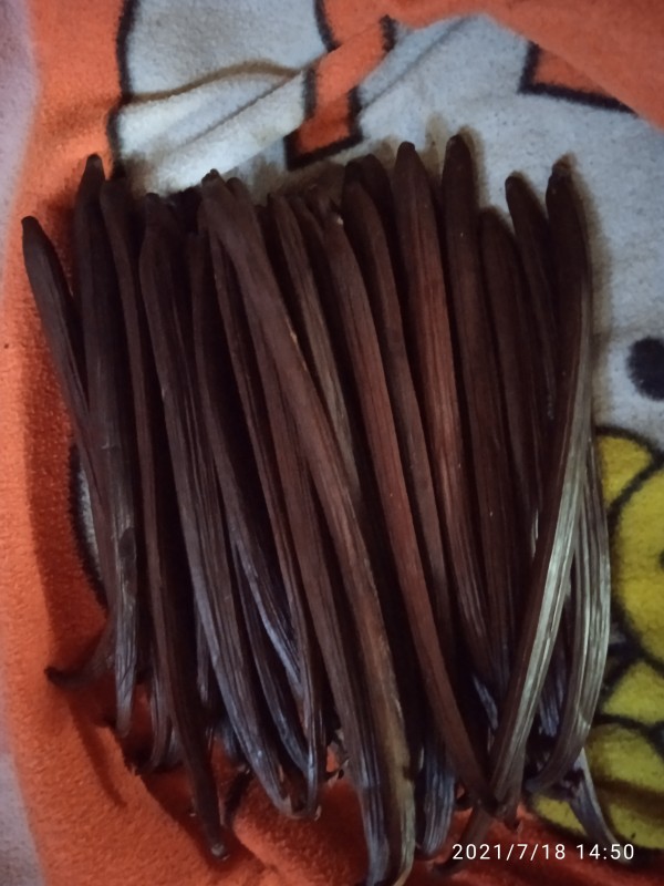 Favas de baunilha from Papua-Nova Guiné