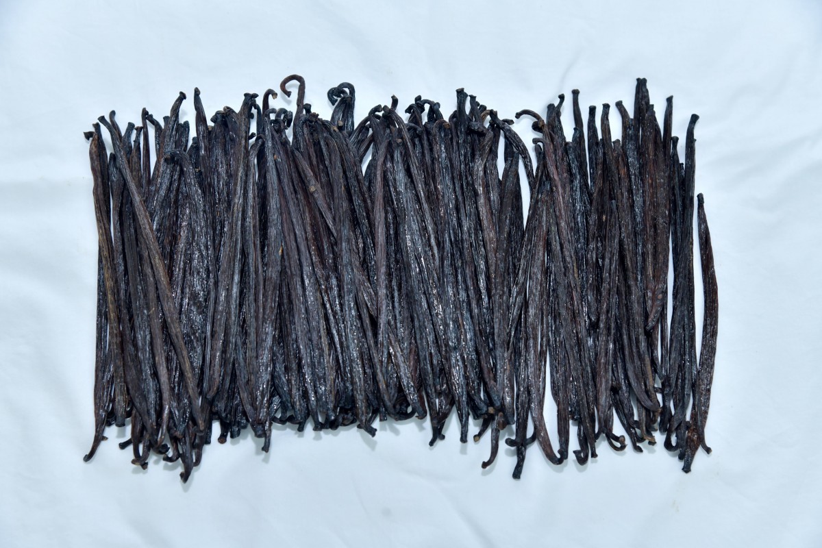 Vanilla Tahitensis from Papua Nuova Guinea