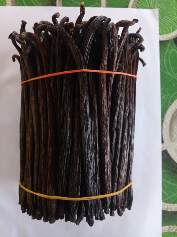 Vanilla tahitensis from Papua Nuova Guinea