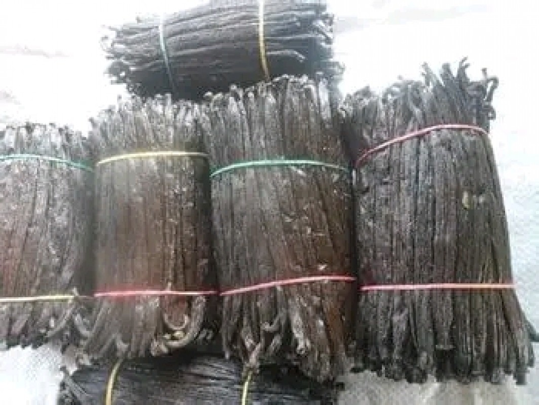 Vanilla Beans from Papua Nuova Guinea