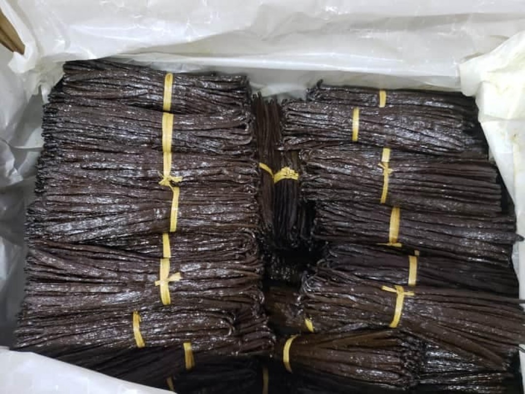 Vanilla Beans from Papua Nuova Guinea