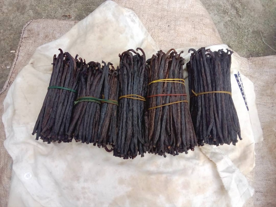 Barbatanas de tubarão from Papua-Nova Guiné