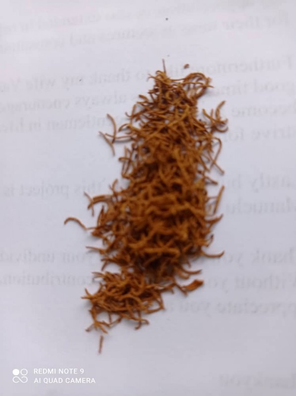 Saffron from Papua New Guinea