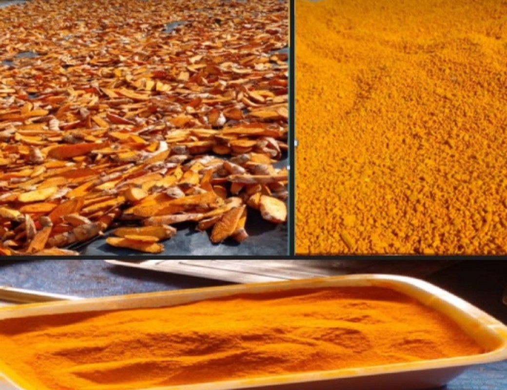 Turmeric from Papua New Guinea