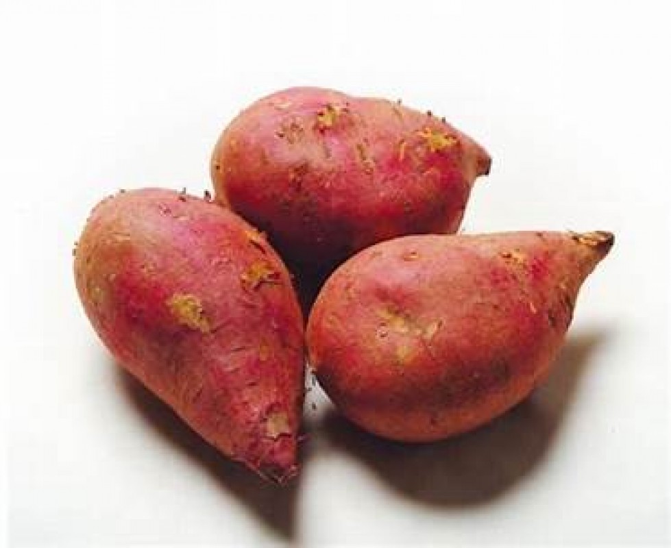 Sweet Potato from Philippines