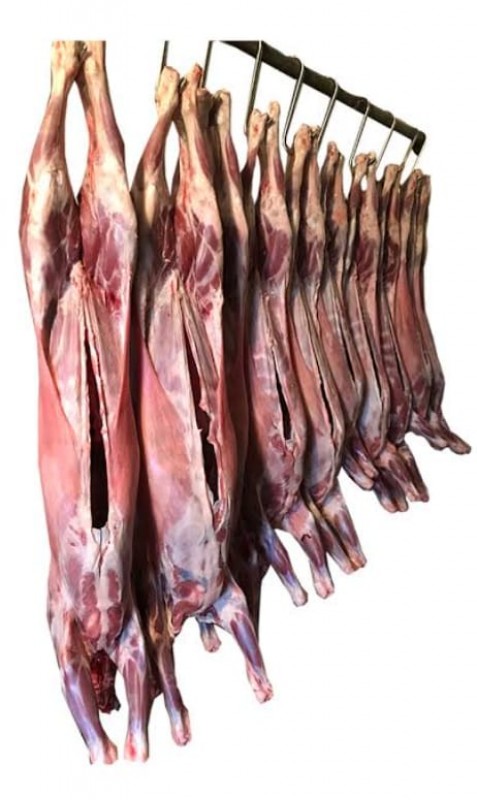 Desi Goat Meat Carcass from Pakistan