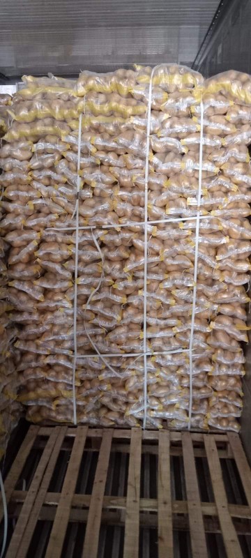 Potato from Pakistan