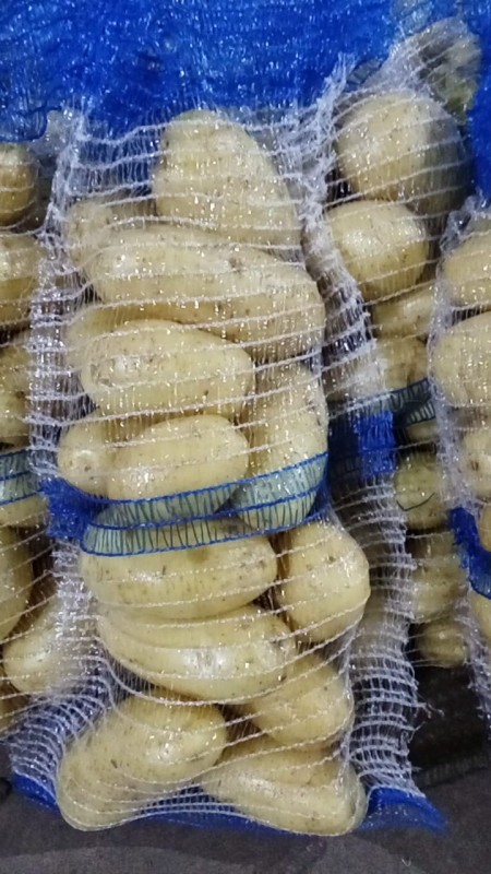Potatoes from Pakistan