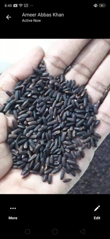 barma black rice from Pakistan
