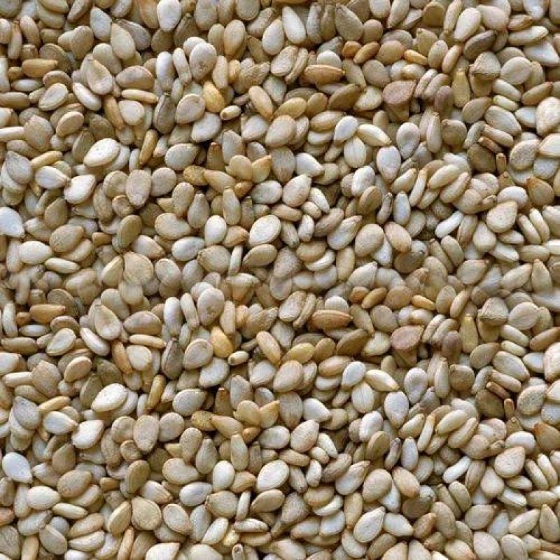 Sesame seeds from Pakistan