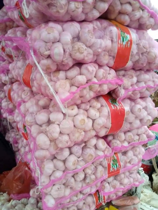 White garlic in effective price from Pakistan