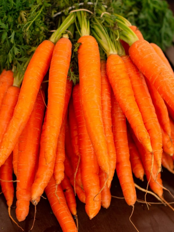 Carrot from Pakistan