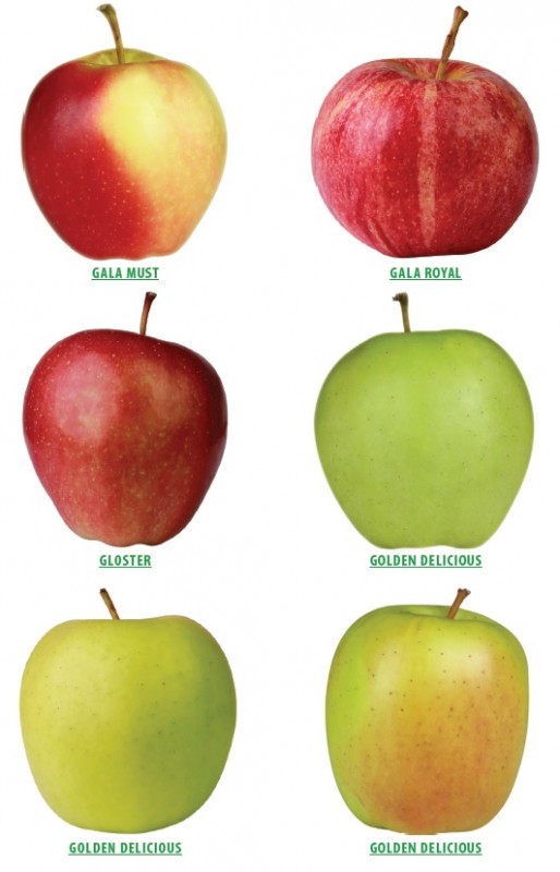 Fresh apples from Poland from Poland